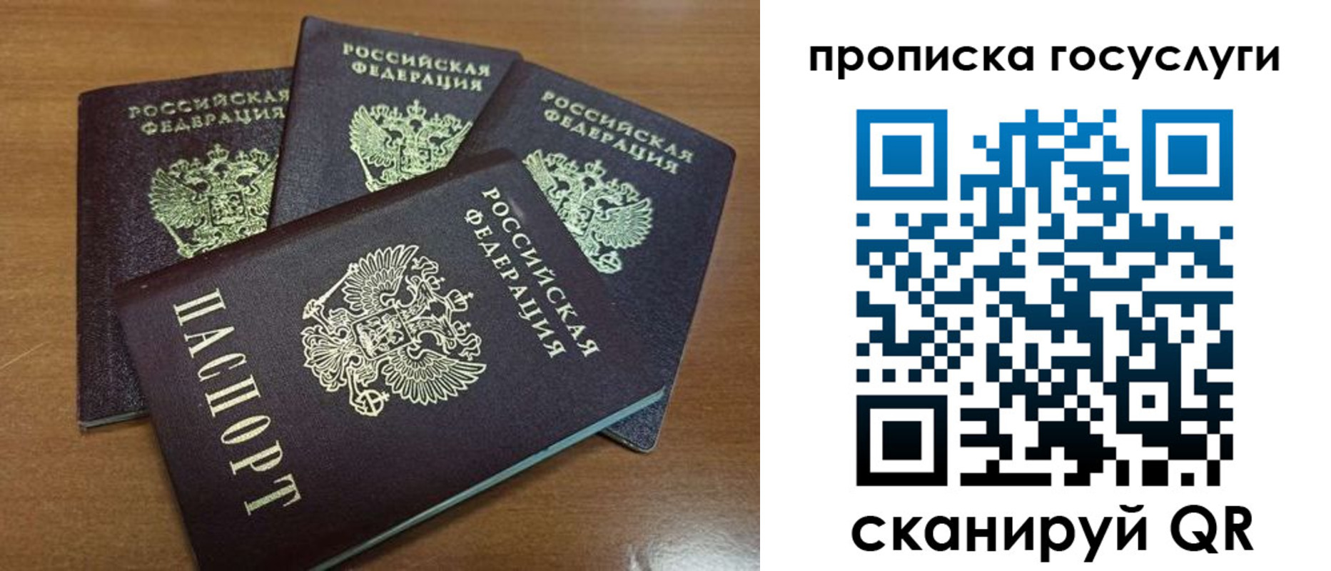 прописка 2025 в Зернограде